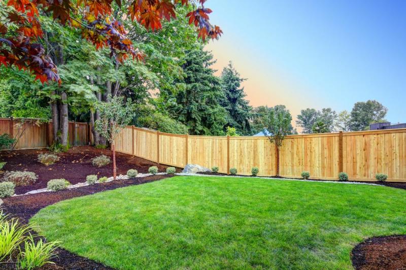 Cr&eacute;ation de votre jardin : &eacute;tapes et conseils d'expert