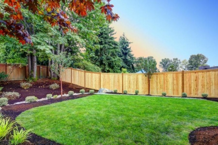 Cr&eacute;ation de votre jardin : &eacute;tapes et conseils d'expert